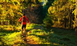 Léto 2023 - Pěšky