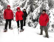 Co je Cestou Jeseníky?