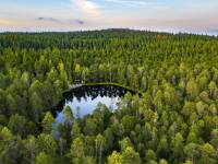 Mechový okruh na koloběžce